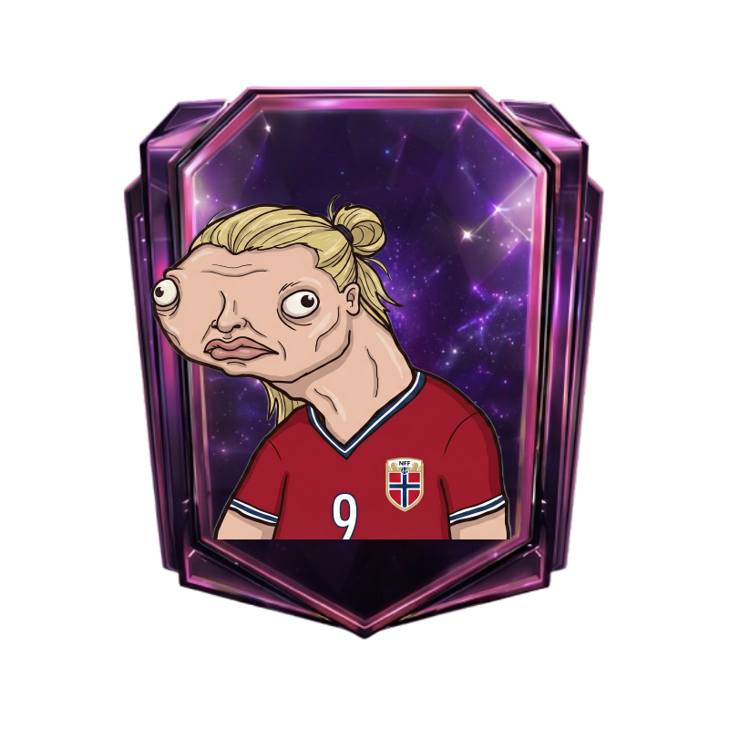 Erlung Hoolond